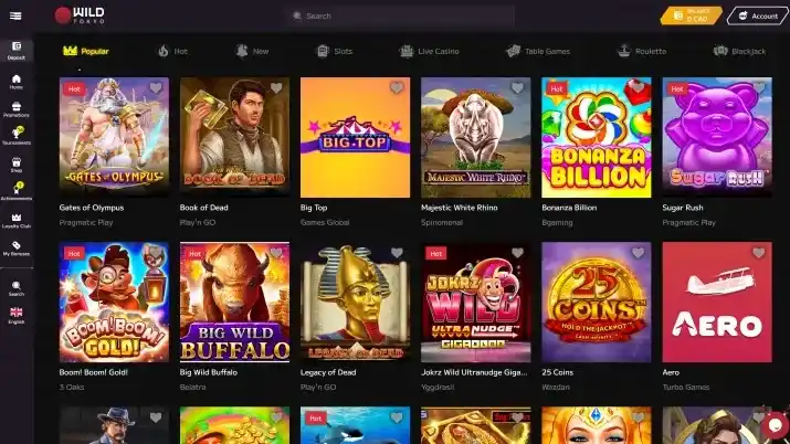 Wild Tokyo - Skrill, pagamenti digitali e crypto